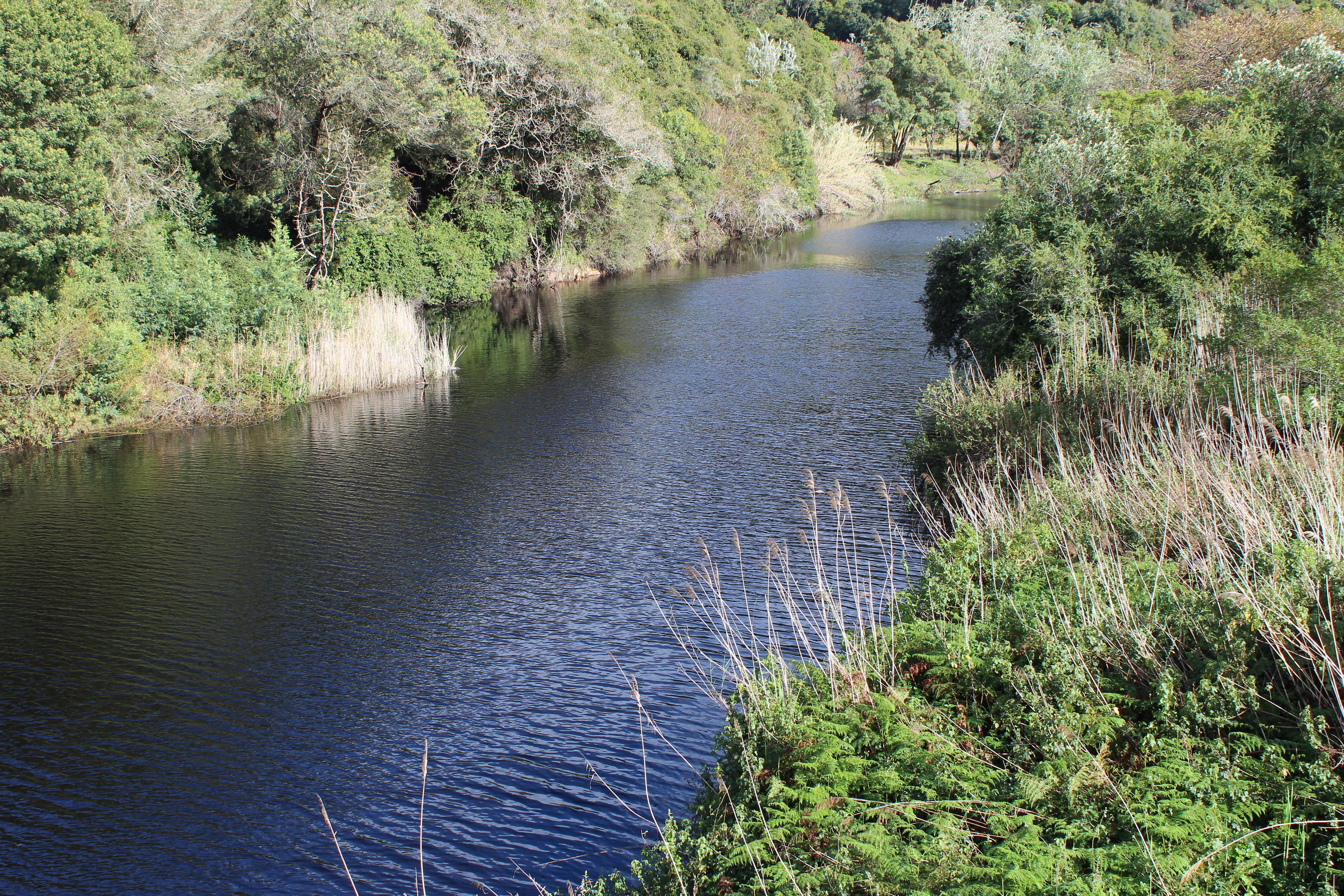 Blackwaters River Lodge, Knysna Eksteriør billede